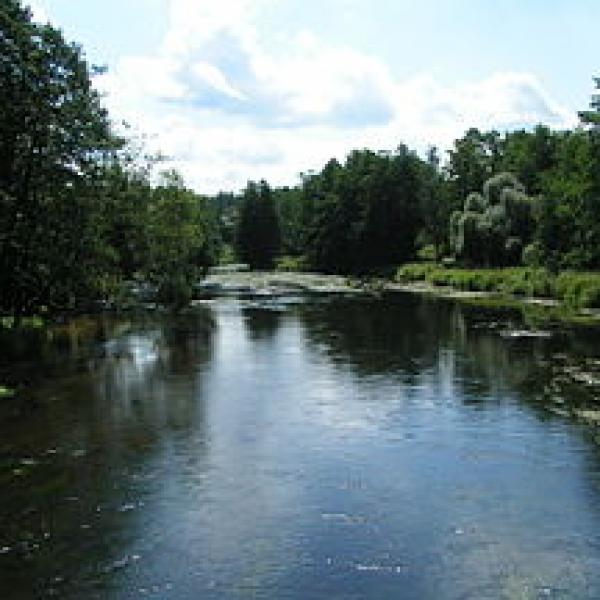 Merkys maršrutas