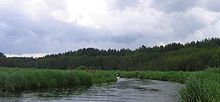 Varėnė maršrutas